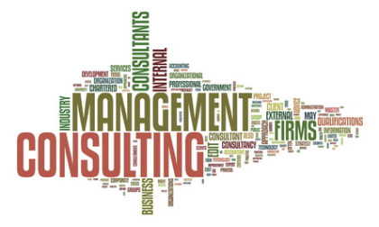 An image of a management consulting text cloud